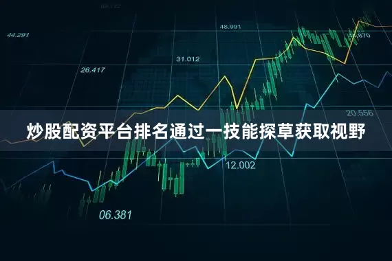 炒股配资平台排名通过一技能探草获取视野