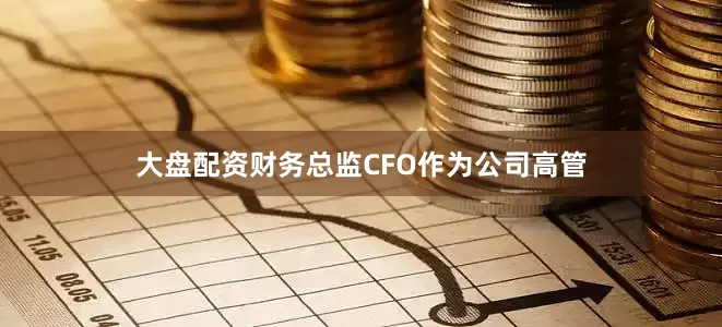大盘配资财务总监CFO作为公司高管